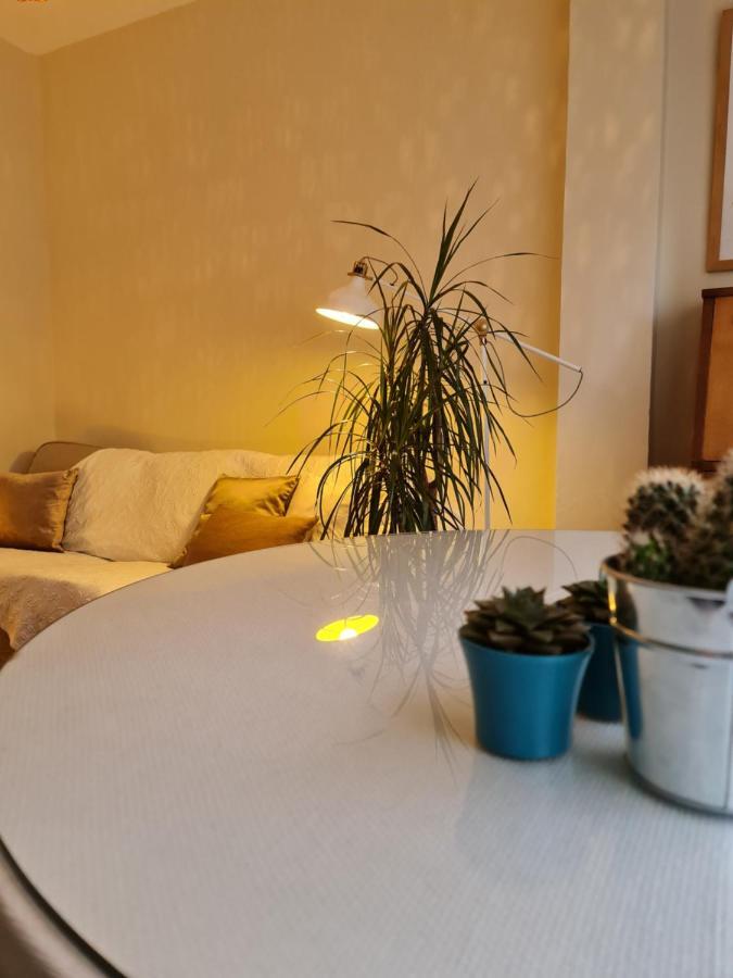 Apartamento Entero, Muy Centrico Διαμέρισμα Ποντεβέντρα Εξωτερικό φωτογραφία